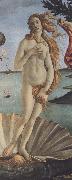 Sandro Botticelli The Birth of Venus (mk36) oil painting reproduction